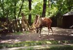 Zoo Duisburg 2008 Zoo Duisburg 2008
