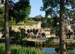 KölnerZoo_150Jahre_2.jpg