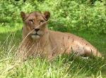 Zoo Safaripark Stukenbrock Zoo Safaripark Stukenbrock