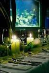 Zoo_Leipzig_Dinner_Aquarium.jpg