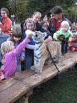 Tigerbaby