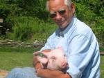 Schwein Susi
