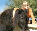 Pony Pony