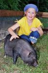 Schwein Schwein