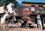 Westernshow Westernshow