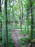 Mitten im Wald Mitten im Wald