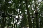 tree2tree 4 tree2tree 4