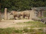 Zoo Karlsruhe 