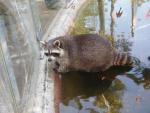 Zoo Kaiserslautern